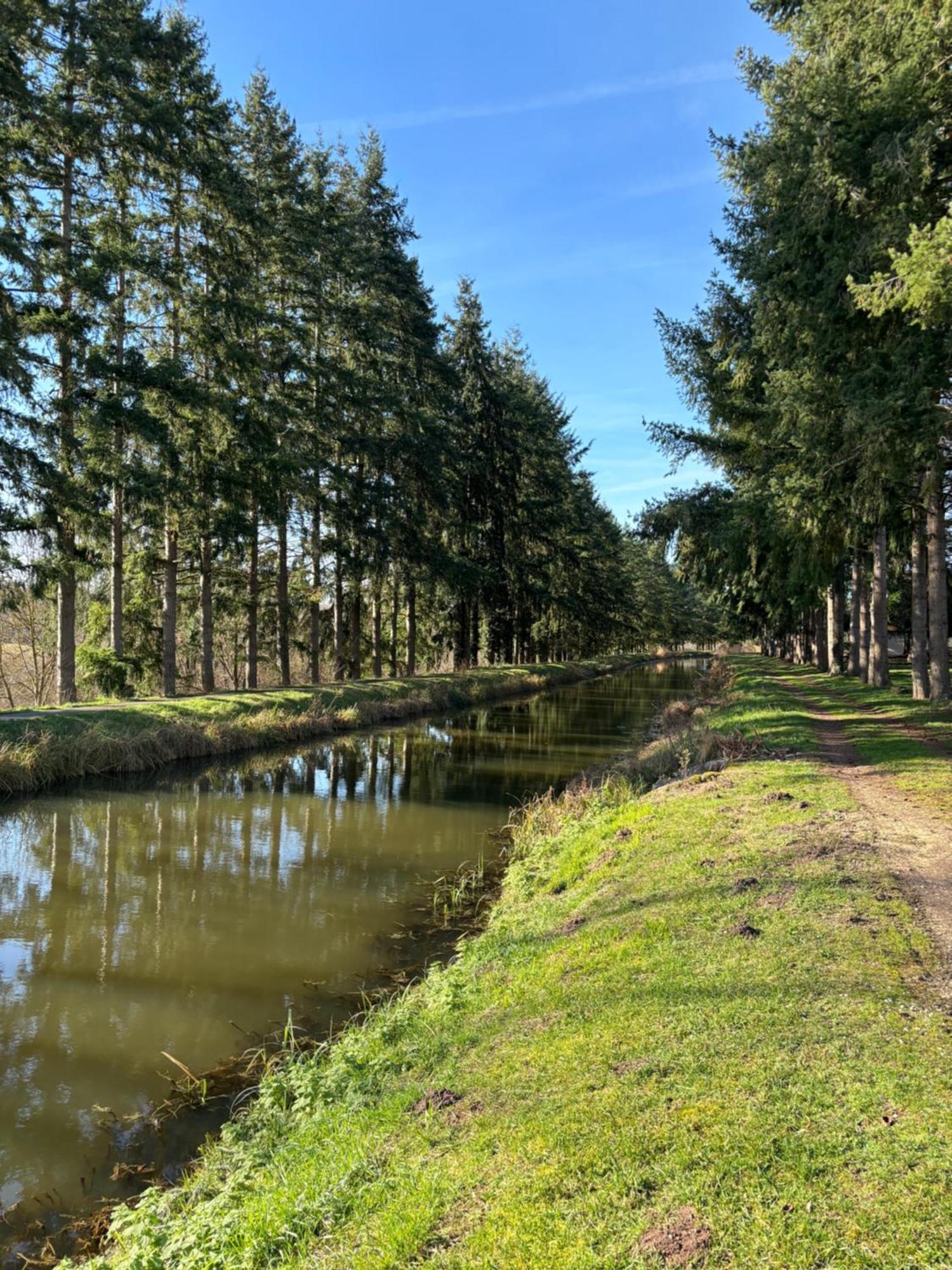 La Haute Tremiere Charenton-du-Cher Bagian luar foto