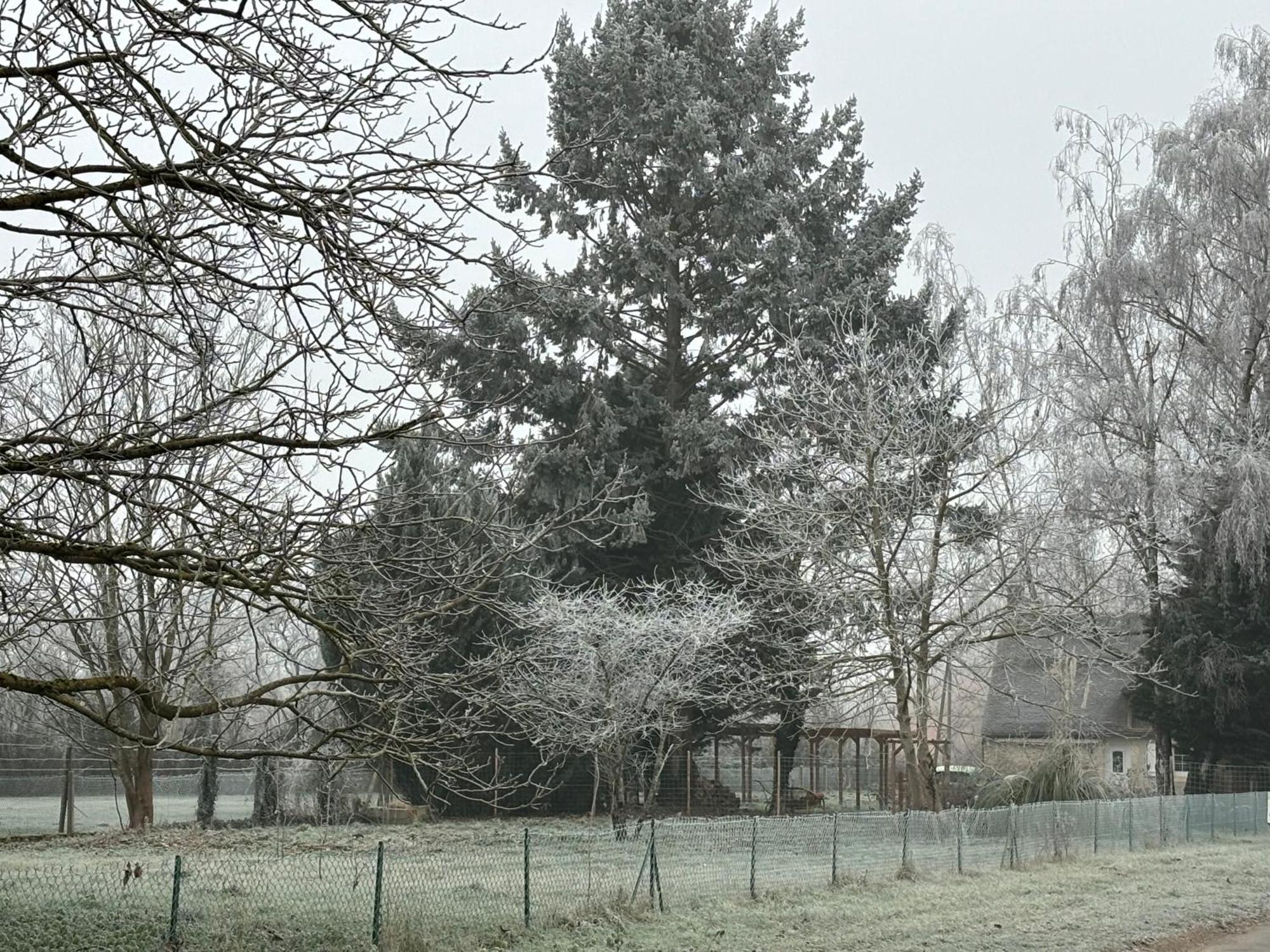 La Haute Tremiere Charenton-du-Cher Bagian luar foto